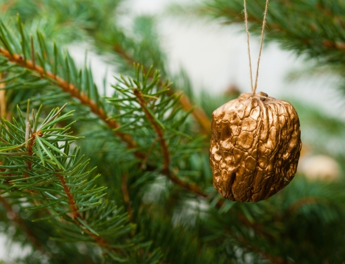Walnuts – a Christmas tradition