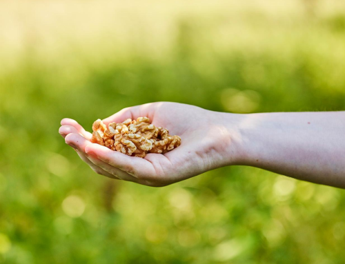 Adding Just a Small Handful of Walnuts Can Have Dietary Benefits for the Whole Family