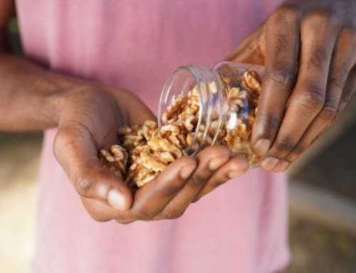 Discover How You Can Boost Your Brainpower With California Walnuts & Dr Amir Khan